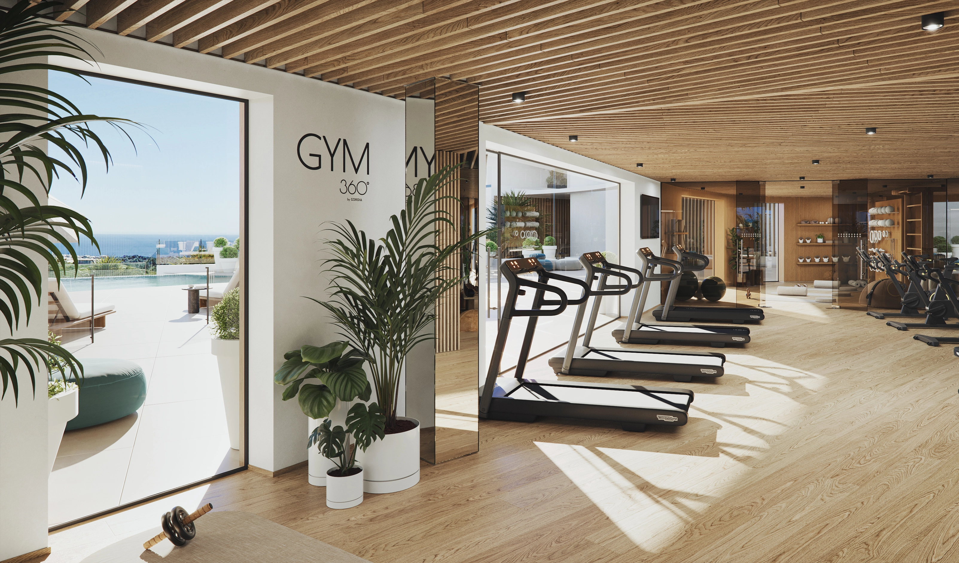 Gym 360 Cordia